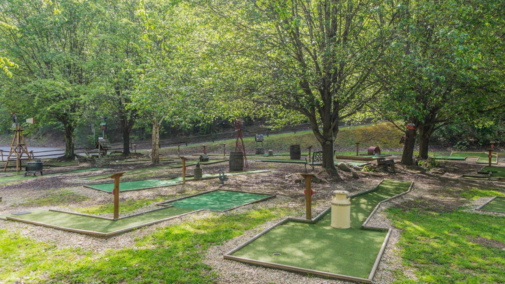 Yoli Bear Hideaway Villa Sevierville Buitenkant foto