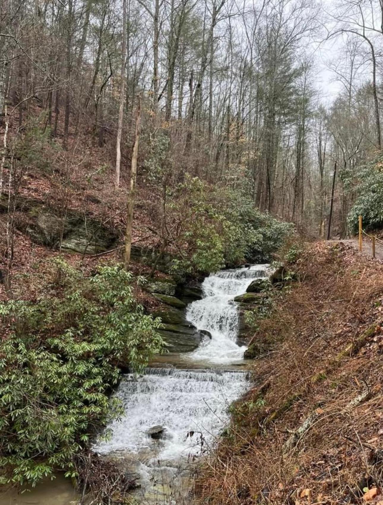 Yoli Bear Hideaway Villa Sevierville Buitenkant foto