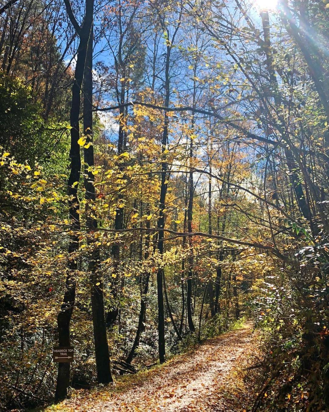 Yoli Bear Hideaway Villa Sevierville Buitenkant foto